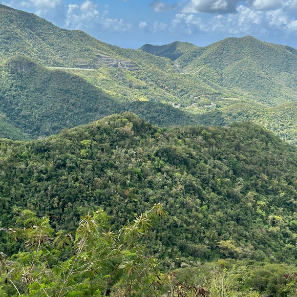 Meet your Posher, Sekia - Picture 1 of 1